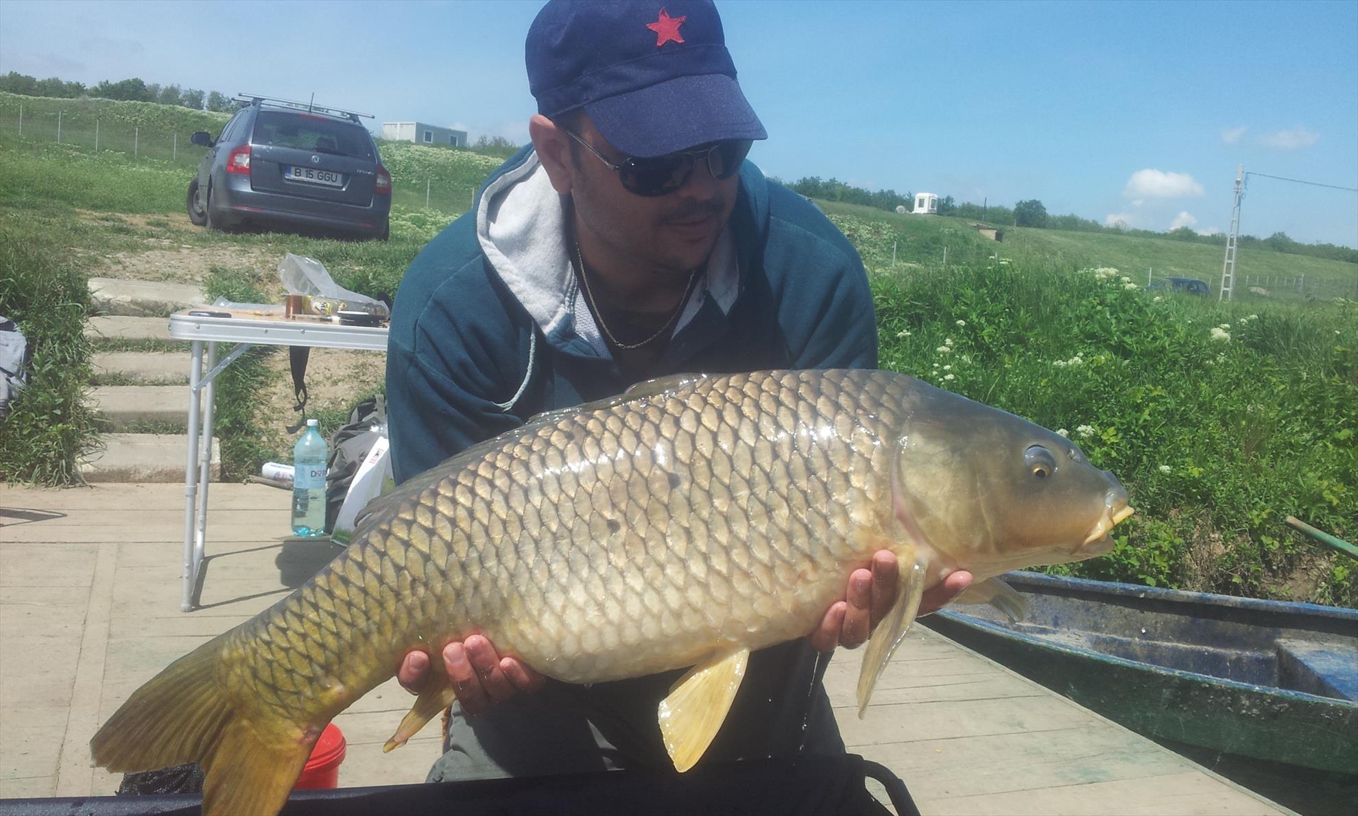 Moara Vlasiei 2, 3 mai 2014 - 20140503131347.jpg